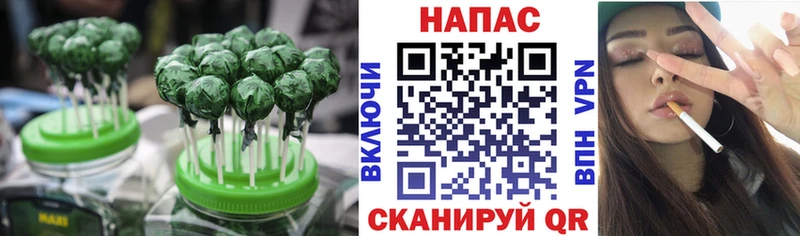 где можно купить Великий Новгород omg ТОР Cannafood конопля
