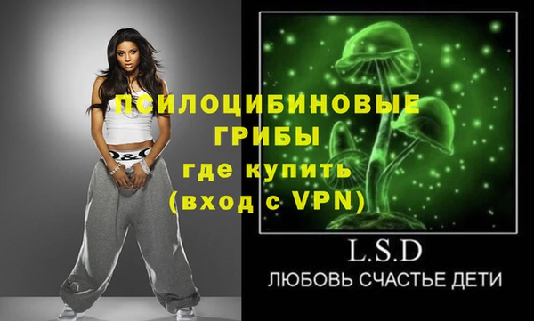 хмурый Костерёво