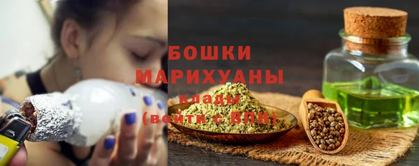 молекула духа Козельск