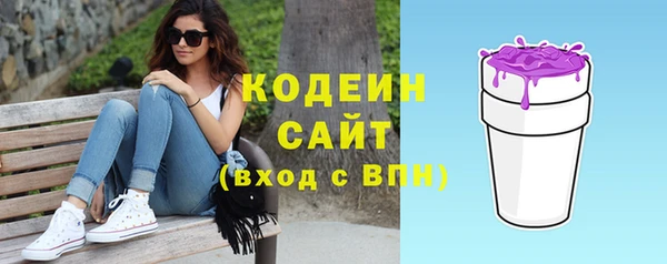 молекула духа Козельск