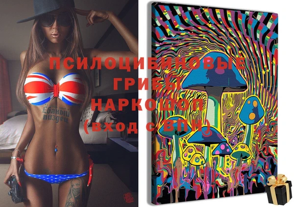 молекула духа Козельск