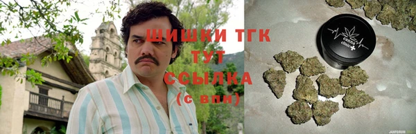 молекула духа Козельск