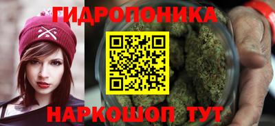 a pvp Будённовск