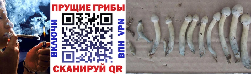 Псилоцибиновые грибы ЛСД  Великий Новгород 