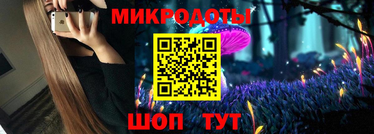 где продают   Великий Новгород  Галлюциногенные грибы Psilocybine cubensis 