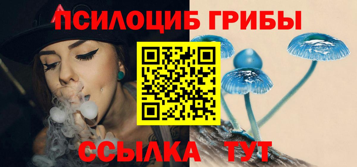 Галлюциногенные грибы прущие грибы Великий Новгород